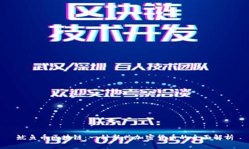 鱿鱼币区块链：一种新兴加密货币的全面解析
