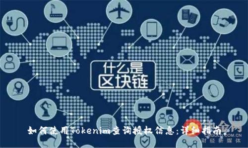 如何使用Tokenim查询授权信息：详细指南