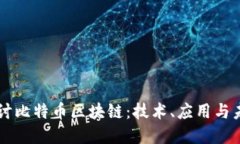 深入探讨比特币区块链：