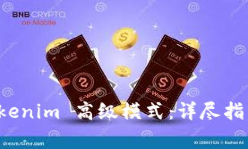 如何填写 Tokenim 高级模式：详尽指南与注意事项