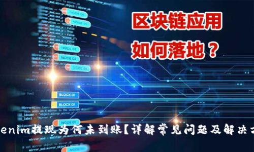 Tokenim提现为何未到账？详解常见问题及解决方案