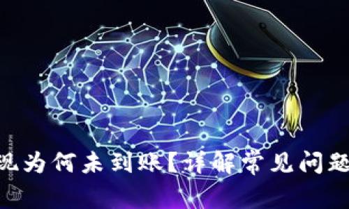 Tokenim提现为何未到账？详解常见问题及解决方案
