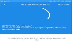 Tokenim在国内合法吗？全面