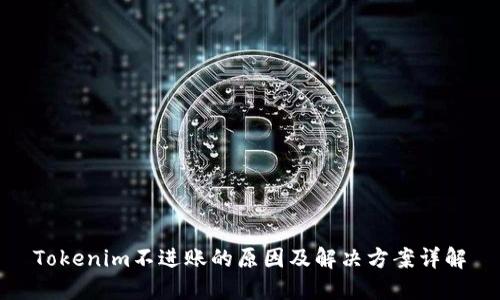 Tokenim不进账的原因及解决方案详解