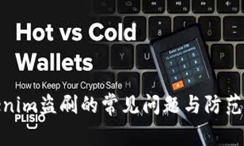 Tokenim盗刷的常见问题与防范措施
