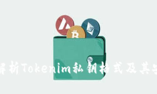 深入解析Tokenim私钥格式及其安全性