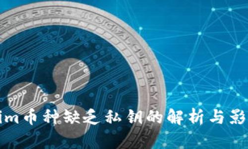 Tokenim币种缺乏私钥的解析与影响分析