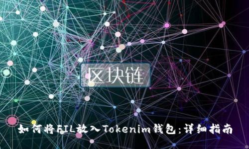 如何将FIL放入Tokenim钱包：详细指南