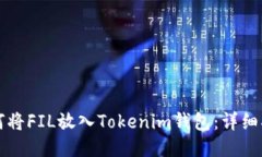 如何将FIL放入Tokenim钱包：