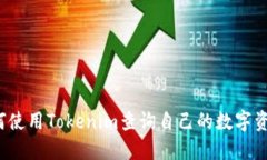 如何使用Tokenim查询自己的