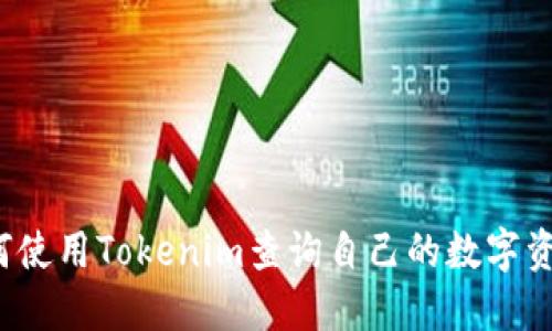 如何使用Tokenim查询自己的数字资产？