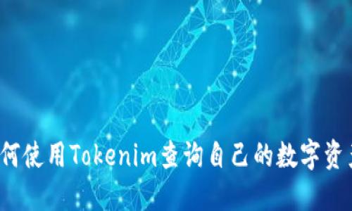 如何使用Tokenim查询自己的数字资产？
