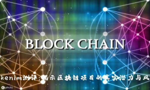 Tokenim测评：揭示区块链项目的真实潜力与风险