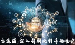 区块链交流圈：深入解析