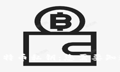 TokenIM与比特币私钥：您需要知道的所有信息