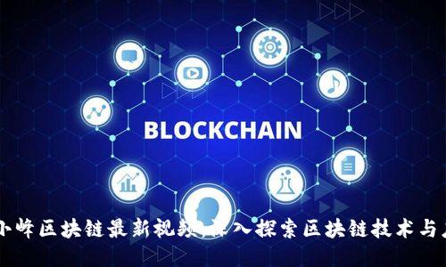 马小峰区块链最新视频：深入探索区块链技术与应用