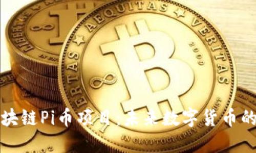 深入探讨区块链Pi币项目：未来数字货币的潜力与挑战