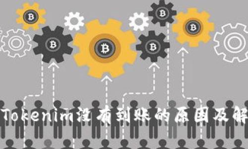 提币到Tokenim没有到账的原因及解决方案