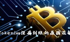 提币到Tokenim没有到账的原