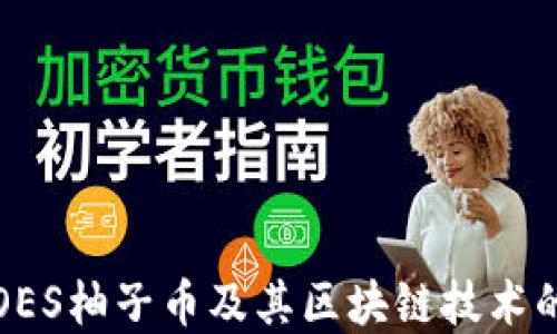 
深入探讨OES柚子币及其区块链技术的未来发展