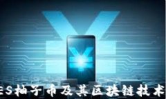 深入探讨OES柚子币及其区