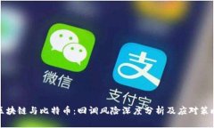 区块链与比特币：回调风