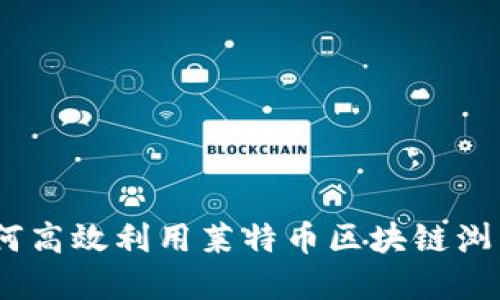 全面指南：如何高效利用莱特币区块链浏览器进行查询