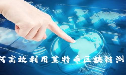 全面指南：如何高效利用莱特币区块链浏览器进行查询