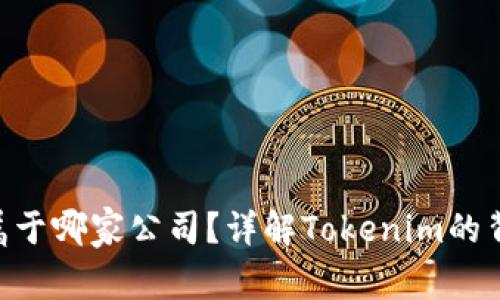 Tokenim属于哪家公司？详解Tokenim的背景与发展