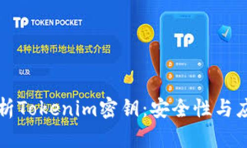 深入解析Tokenim密钥：安全性与应用范畴