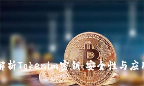 深入解析Tokenim密钥：安全性与应用范畴