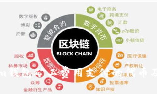 Tokenim钱包矿工费用支付的代币及其解析