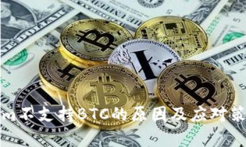 Tokenim不支持BTC的原因及应对策略分析