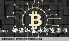 Tokenim: 解读山寨币的重要