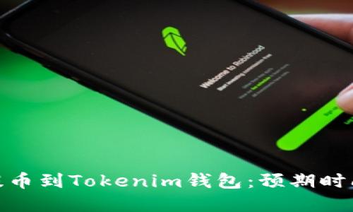 如何将Bitz提币到Tokenim钱包：预期时间与流程详解