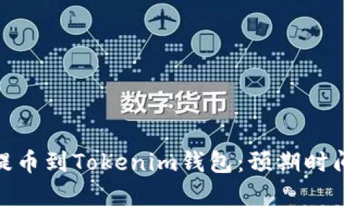 如何将Bitz提币到Tokenim钱包：预期时间与流程详解