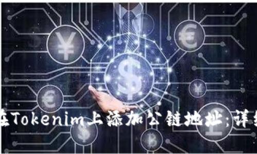 如何在Tokenim上添加公链地址：详细指南