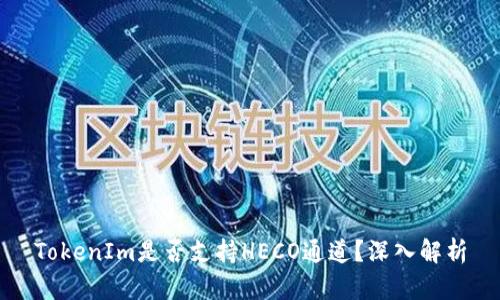 TokenIm是否支持HECO通道？深入解析