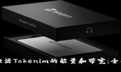 如何激活Tokenim的能量和带宽：全面指南