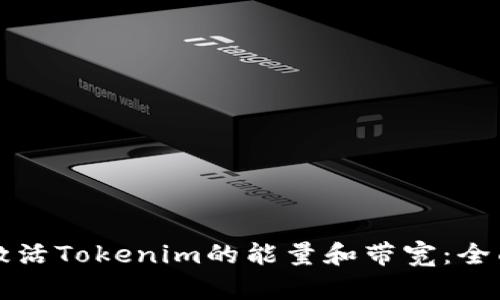 如何激活Tokenim的能量和带宽：全面指南