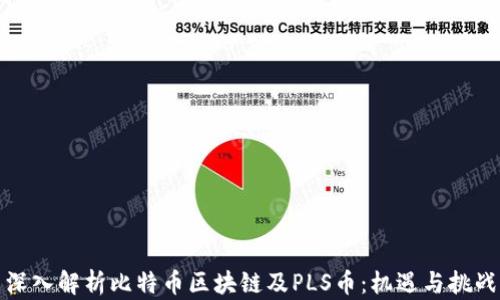 
深入解析比特币区块链及PLS币：机遇与挑战