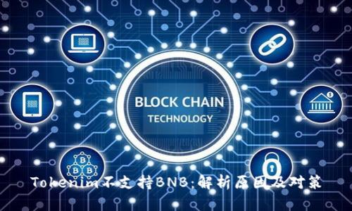 Tokenim不支持BNB：解析原因及对策