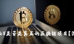 : 派币（Pi Network）是否是