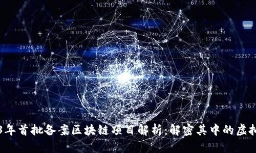 2023年首批备案区块链项目解析：解密其中的虚拟货币