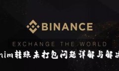 Tokenim转账未打包问题详解