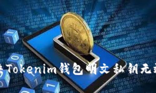 如何解决Tokenim钱包明文私钥无效的问题
