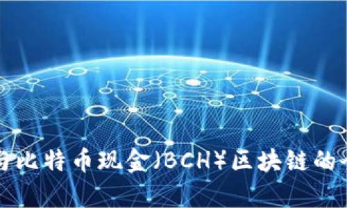 比特币与比特币现金（BCH）区块链的全面解析