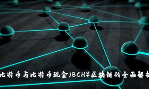 比特币与比特币现金（BCH）区块链的全面解析