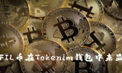 如何解决FIL币在Tokenim钱包
