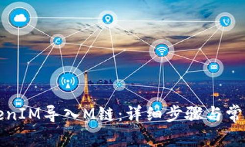 如何将TokenIM导入M链：详细步骤与常见疑问解答